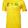 Детская футболка Сборная Камеруна 2016/2017