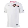 Форма футбольного клуба Палермо 2016/2017 (комплект: футболка + шорты + гетры)