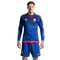 Мужская форма голкипера сборной Уэльса 2016/2017 (комплект: футболка + шорты + гетры)