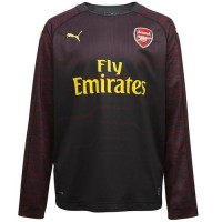 Мужская форма голкипера футбольного клуба Арсенал Лондон 2018/2019 (комплект: футболка + шорты + гетры)