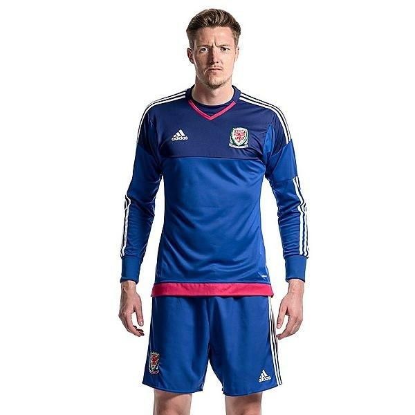Мужская форма голкипера сборной Уэльса 2016/2017 (комплект: футболка + шорты + гетры)